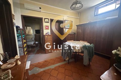 Villa i Torchiarolo, Brindisi, Torchiarolo - € 134.000 | Ref: 9090-91510 - foto 14