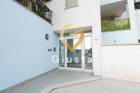 Lejlighed i Mesagne, Brindisi, Mesagne - € 149.000 | Ref: 9090-91511 - foto 2