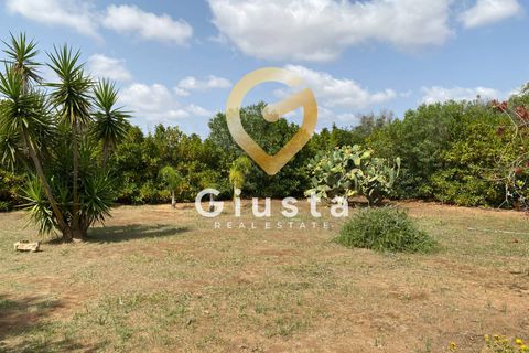 Villa i Brindisi, Brindisi, Brindisi - € 145.000 | Ref: 9090-91514 - foto 8