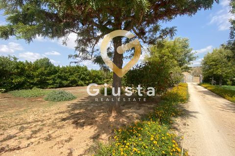 Villa i Brindisi, Brindisi, Brindisi - € 145.000 | Ref: 9090-91514 - foto 12