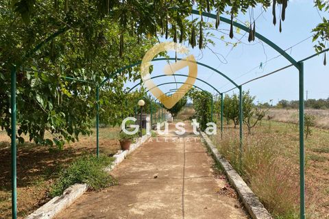 Villa i Brindisi, Brindisi, Brindisi - € 145.000 | Ref: 9090-91514 - foto 30