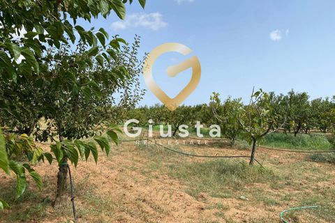 Villa i Brindisi, Brindisi, Brindisi - € 145.000 | Ref: 9090-91514 - foto 31