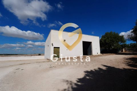 Erhvervsejendom i Putignano, Bari, Putignano - € 449.000 | Ref: 9090-91532 - foto 4