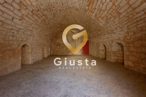 Erhvervsejendom i Putignano, Bari, Putignano - € 449.000 | Ref: 9090-91532 - foto 17