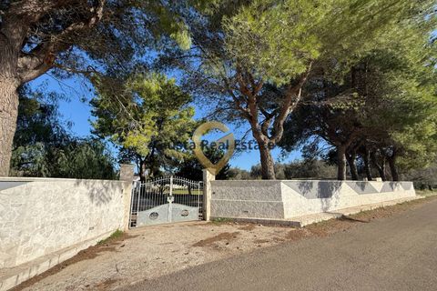 Villa i Oria, Brindisi, Oria - € 179.000 | Ref: 9090-91547 - foto 4