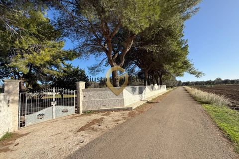 Villa i Oria, Brindisi, Oria - € 179.000 | Ref: 9090-91547 - foto 7