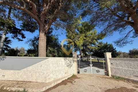 Villa i Oria, Brindisi, Oria - € 179.000 | Ref: 9090-91547 - foto 8