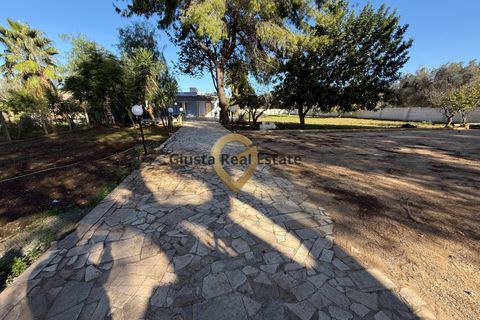 Villa i Oria, Brindisi, Oria - € 179.000 | Ref: 9090-91547 - foto 32