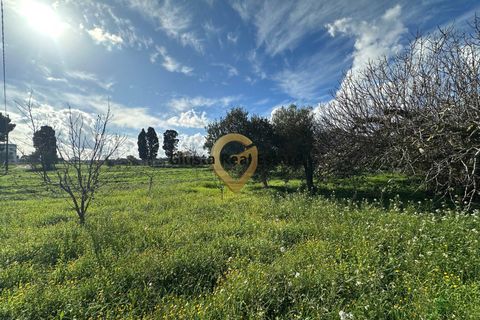 Landejendom i Brindisi, Brindisi, Brindisi - € 109.000 | Ref: 9090-91572 - foto 2
