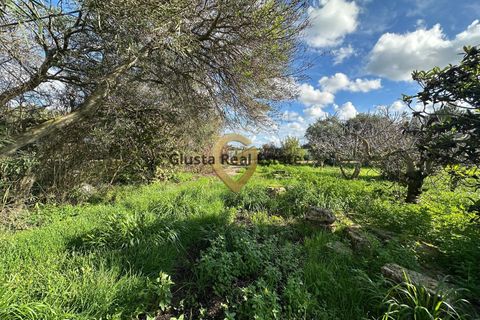 Landejendom i Brindisi, Brindisi, Brindisi - € 109.000 | Ref: 9090-91572 - foto 3