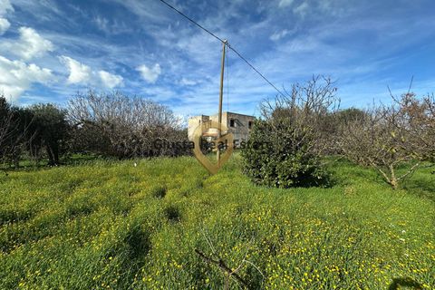 Landejendom i Brindisi, Brindisi, Brindisi - € 109.000 | Ref: 9090-91572 - foto 5
