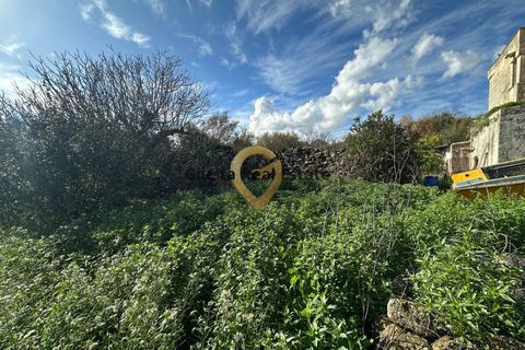 Landejendom i Brindisi, Brindisi, Brindisi - € 109.000 | Ref: 9090-91572 - foto 6