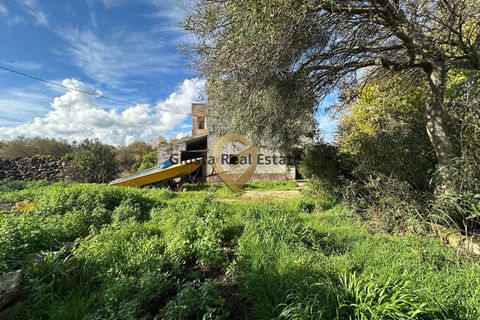 Landejendom i Brindisi, Brindisi, Brindisi - € 109.000 | Ref: 9090-91572 - foto 9