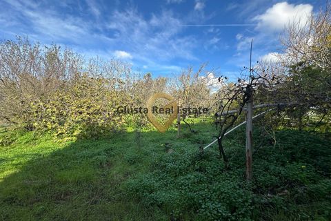 Landejendom i Brindisi, Brindisi, Brindisi - € 109.000 | Ref: 9090-91572 - foto 11