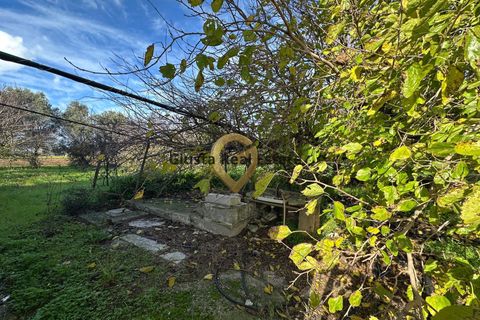 Landejendom i Brindisi, Brindisi, Brindisi - € 109.000 | Ref: 9090-91572 - foto 12