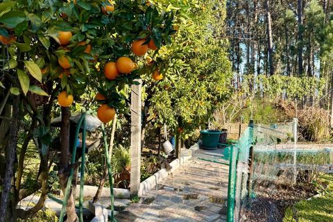 Villa a Celorico de Basto, Braga, Celorico de Basto - € 635.000 | Ref: C0415-00618 - foto 40
