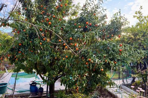 Villa a Celorico de Basto, Braga, Celorico de Basto - € 635.000 | Ref: C0415-00618 - foto 41