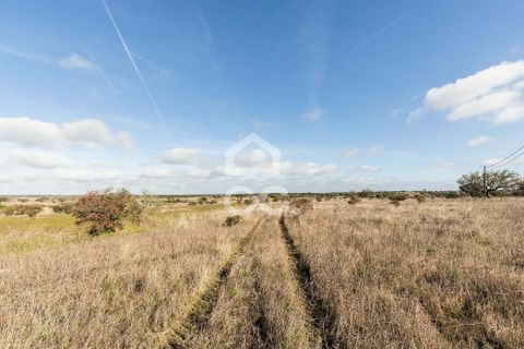Terra a Alandroal, Evora, Alandroal - € 85.000 | Ref: 318/T/03755 - foto 2