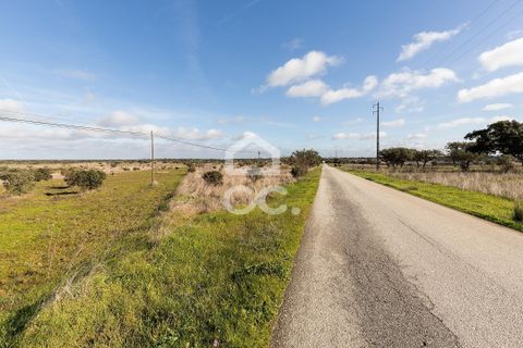 Terra a Alandroal, Evora, Alandroal - € 85.000 | Ref: 318/T/03755 - foto 3
