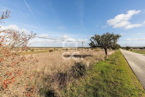 Terra a Alandroal, Evora, Alandroal - € 85.000 | Ref: 318/T/03755 - foto 4