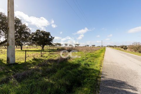 Terra a Alandroal, Evora, Alandroal - € 85.000 | Ref: 318/T/03755 - foto 5