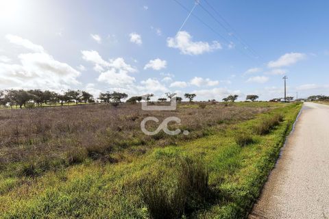 Terra a Alandroal, Evora, Alandroal - € 85.000 | Ref: 318/T/03755 - foto 6