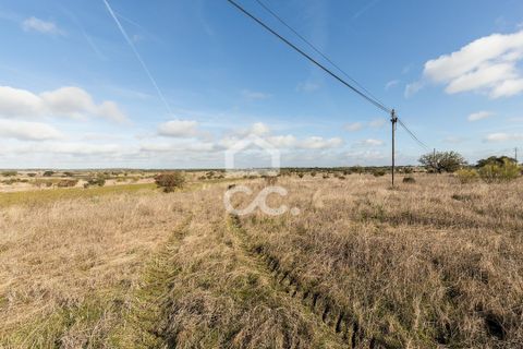 Terra a Alandroal, Evora, Alandroal - € 85.000 | Ref: 318/T/03755 - foto 8