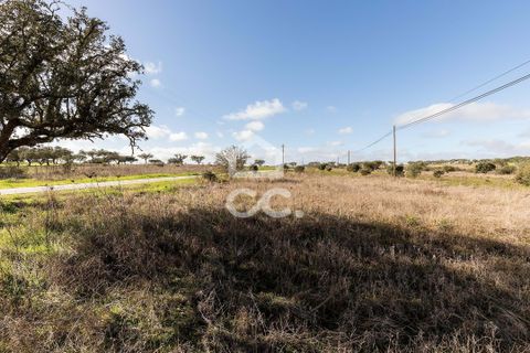 Terra a Alandroal, Evora, Alandroal - € 85.000 | Ref: 318/T/03755 - foto 9