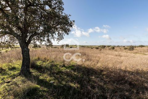 Terra a Alandroal, Evora, Alandroal - € 85.000 | Ref: 318/T/03755 - foto 10