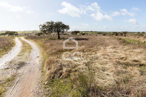 Terra a Alandroal, Evora, Alandroal - € 85.000 | Ref: 318/T/03755 - foto 11