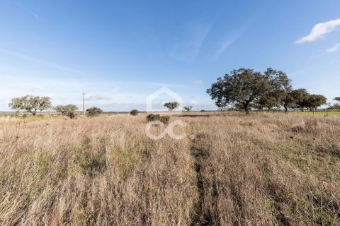 Terra a Alandroal, Evora, Alandroal - € 85.000 | Ref: 318/T/03755 - foto 12