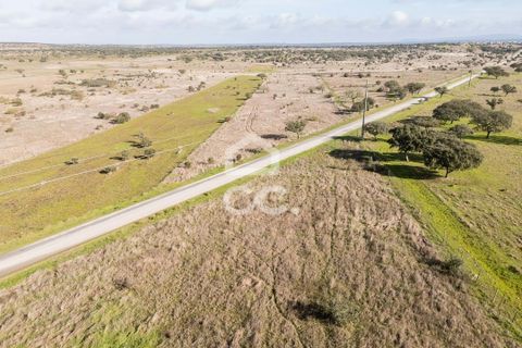 Terra a Alandroal, Evora, Alandroal - € 85.000 | Ref: 318/T/03755 - foto 14
