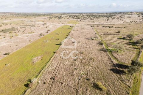 Terra a Alandroal, Evora, Alandroal - € 85.000 | Ref: 318/T/03755 - foto 16
