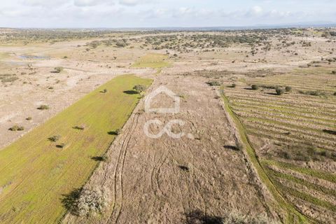 Terra a Alandroal, Evora, Alandroal - € 85.000 | Ref: 318/T/03755 - foto 17