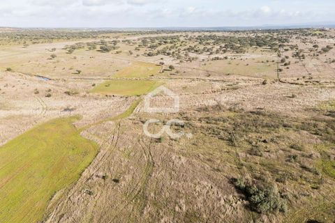 Terra a Alandroal, Evora, Alandroal - € 85.000 | Ref: 318/T/03755 - foto 18