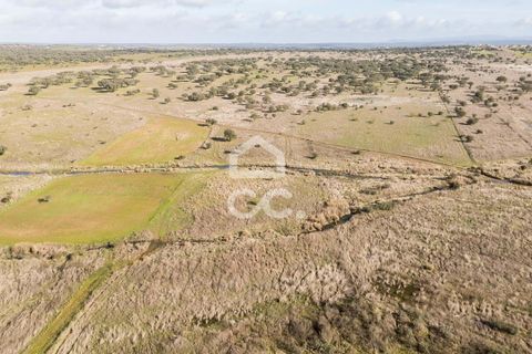Terra a Alandroal, Evora, Alandroal - € 85.000 | Ref: 318/T/03755 - foto 19