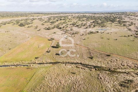 Terra a Alandroal, Evora, Alandroal - € 85.000 | Ref: 318/T/03755 - foto 20