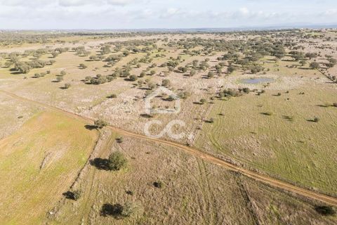 Terra a Alandroal, Evora, Alandroal - € 85.000 | Ref: 318/T/03755 - foto 21