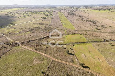 Terra a Alandroal, Evora, Alandroal - € 85.000 | Ref: 318/T/03755 - foto 23