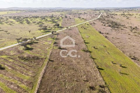 Terra a Alandroal, Evora, Alandroal - € 85.000 | Ref: 318/T/03755 - foto 27