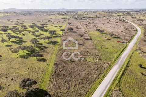 Terra a Alandroal, Evora, Alandroal - € 85.000 | Ref: 318/T/03755 - foto 29
