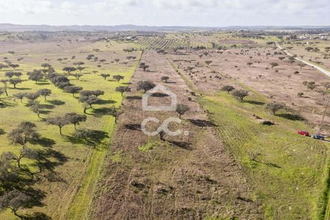 Terra a Alandroal, Evora, Alandroal - € 85.000 | Ref: 318/T/03755 - foto 30