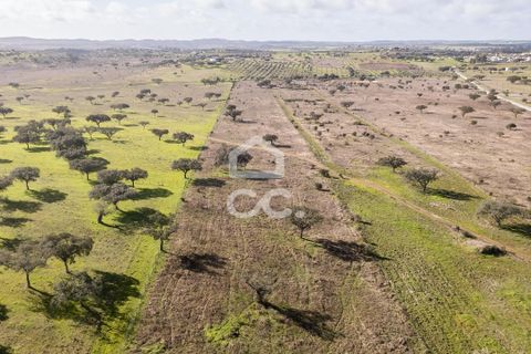 Terra a Alandroal, Evora, Alandroal - € 85.000 | Ref: 318/T/03755 - foto 31
