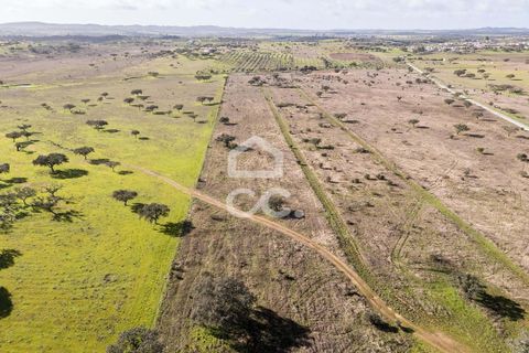 Terra a Alandroal, Evora, Alandroal - € 85.000 | Ref: 318/T/03755 - foto 32