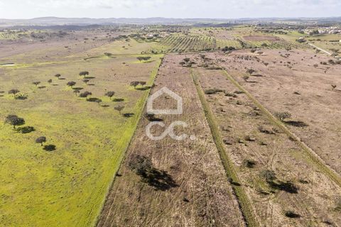 Terra a Alandroal, Evora, Alandroal - € 85.000 | Ref: 318/T/03755 - foto 33