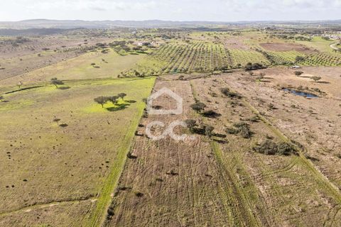Terra a Alandroal, Evora, Alandroal - € 85.000 | Ref: 318/T/03755 - foto 34