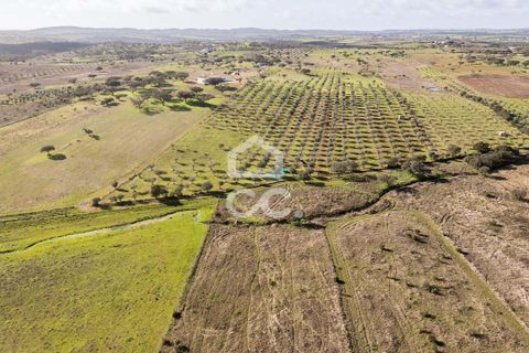 Terra a Alandroal, Evora, Alandroal - € 85.000 | Ref: 318/T/03755 - foto 35
