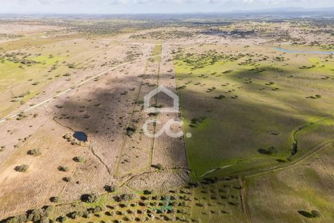 Terra a Alandroal, Evora, Alandroal - € 85.000 | Ref: 318/T/03755 - foto 36
