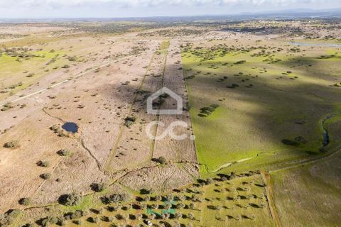 Terra a Alandroal, Evora, Alandroal - € 85.000 | Ref: 318/T/03755 - foto 37