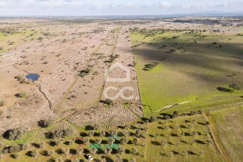 Terra a Alandroal, Evora, Alandroal - € 85.000 | Ref: 318/T/03755 - foto 38